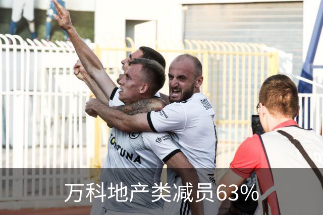 万科地产类减员63%