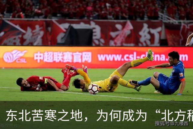 东北苦寒之地，为何成为“北方稻米之乡”，朝鲜人的贡献功不可没