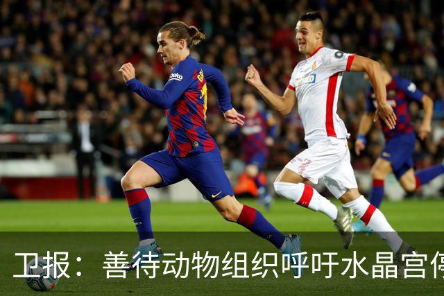 卫报：善待动物组织呼吁水晶宫停用活体白头海雕作为吉祥物