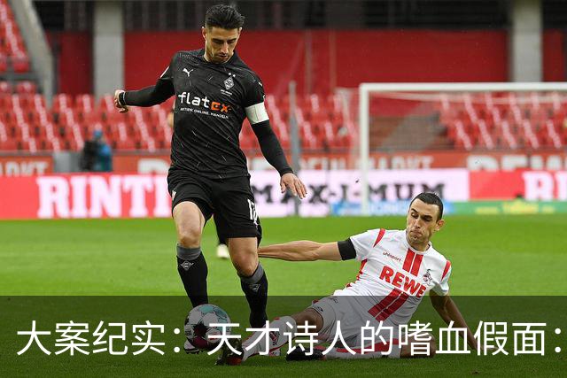 大案纪实：天才诗人的嗜血假面：内地连环杀人案始末 比顾城偏执百倍的人间恶魔