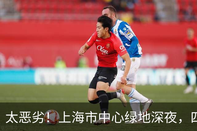 太恶劣！上海市中心绿地深夜，四人手持网兜围追堵截……市民劝阻遭怼：“死不了，抓着玩一下！”