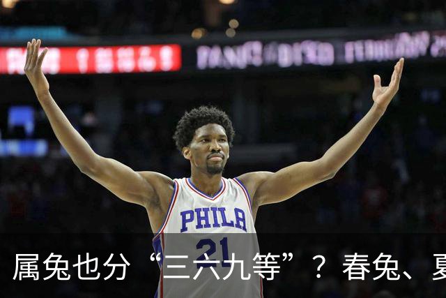 属兔也分“三六九等”？春兔、夏兔、秋兔、冬兔，差距到底在哪里