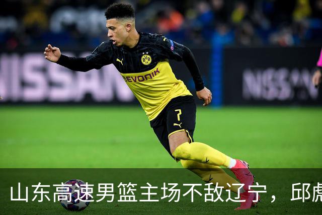 山东高速男篮主场不敌辽宁，邱彪赛后评价法耶：无可挑剔