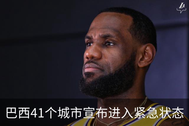 巴西41个城市宣布进入紧急状态
