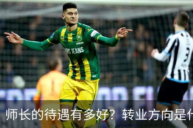 师长的待遇有多好？转业方向是什么？可以当省公安厅厅长吗？