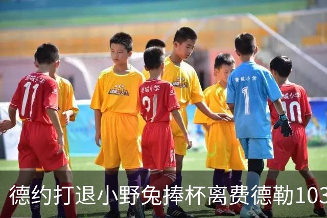 德约打退小野兔捧杯离费德勒103冠仅差一冠，辛纳因伤别离2026