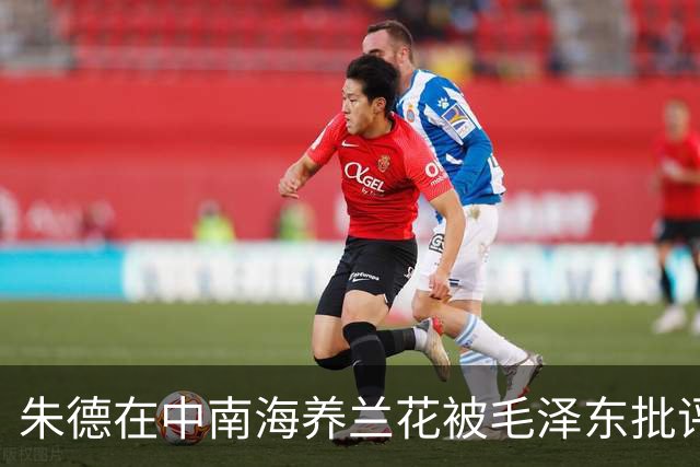 朱德在中南海养兰花被毛泽东批评，忍痛将全部兰花送人！