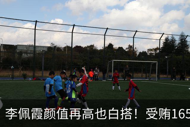 李佩霞颜值再高也白搭！受贿165万被双开，红颜不是护身符