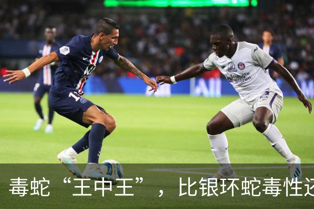 毒蛇“王中王”，比银环蛇毒性还强，被称为亚洲第一毒蛇，我国有吗？