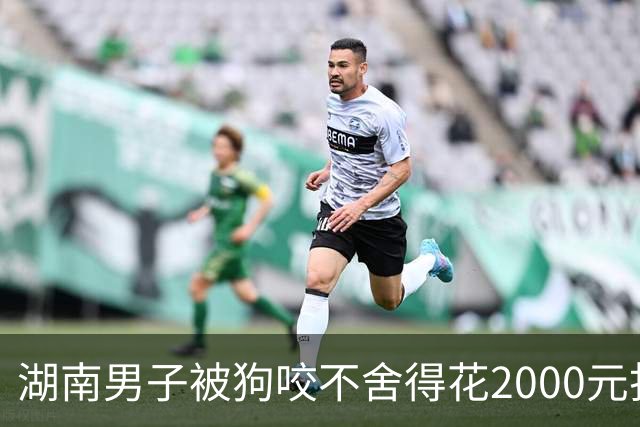 湖南男子被狗咬不舍得花2000元打狂犬疫苗，37天后去世