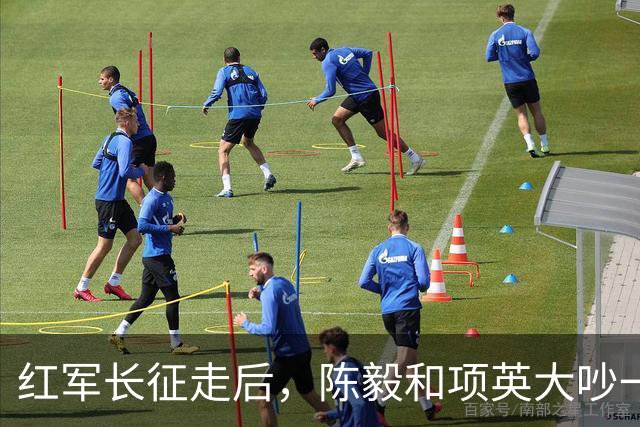 红军长征走后，陈毅和项英大吵一架，陈毅怒骂项英是“五心不净”