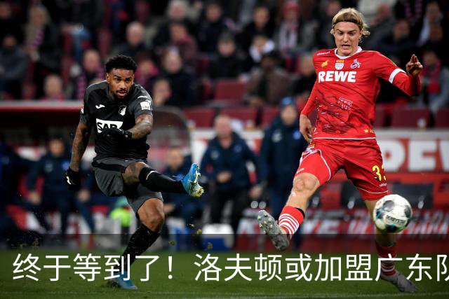 终于等到了！洛夫顿或加盟广东队，已收到多支CBA球队报价！