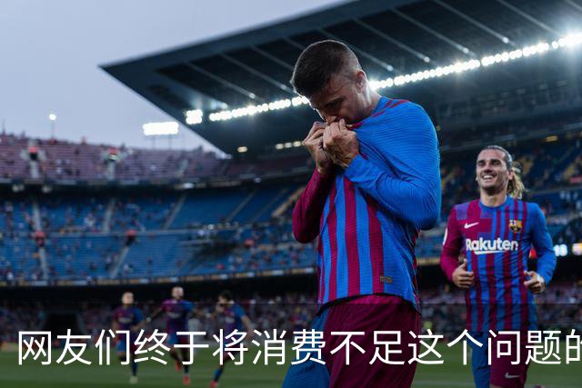 网友们终于将消费不足这个问题的真正原因给讲明白了