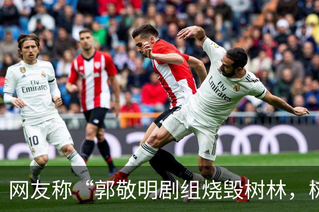网友称“郭敬明剧组烧毁树林，树干呈黑灰色、倒塌在地”，当地回应：政府全程监管，相关画面是布景，剧组没有破坏生态