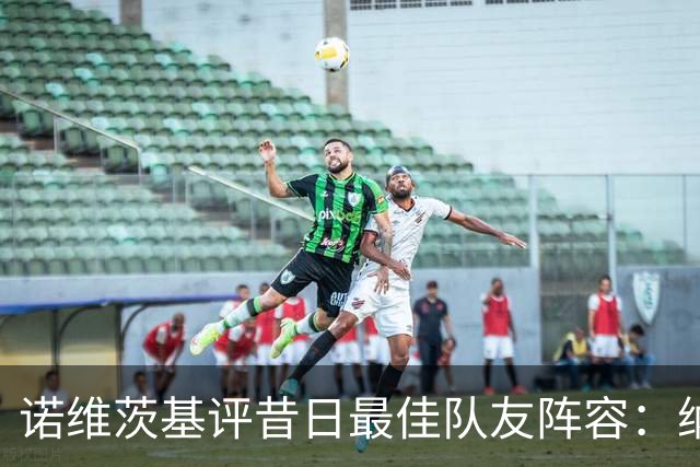 诺维茨基评昔日最佳队友阵容：纳什、基德、东契奇、芬利和钱德勒