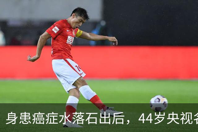身患癌症水落石出后，44岁'央视名嘴'杨帆，如今换了另一条路走