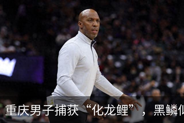 重庆男子捕获“化龙鲤”，黑鳞似龙甲，鱼鳍飘逸，网友：牢底坐穿鱼！