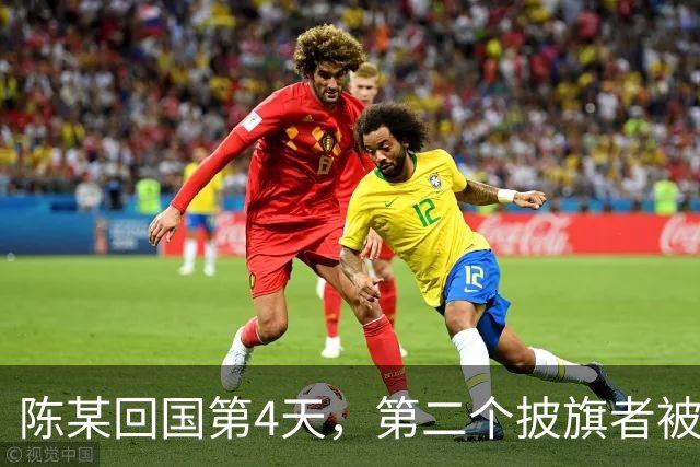陈某回国第4天，第二个披旗者被揪了出来，现形后想销号跑路