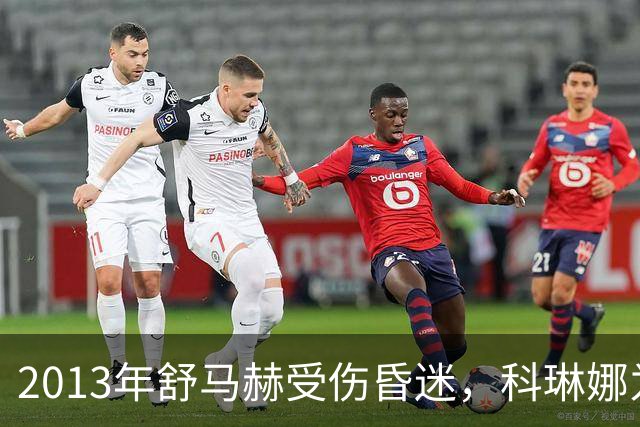 2013年舒马赫受伤昏迷，科琳娜为救夫9年花光20亿，卖房也始终不言弃