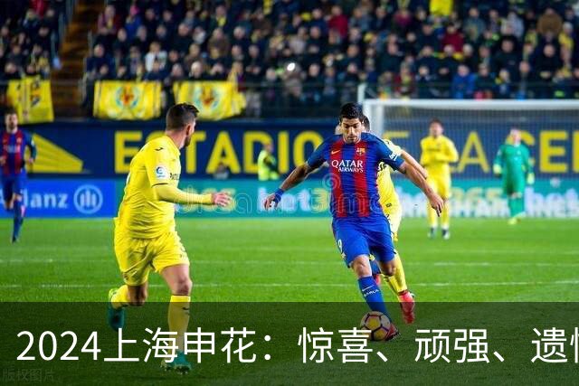 2024上海申花：惊喜、顽强、遗憾--明年拿冠军
