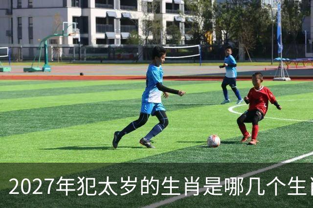 2027年犯太岁的生肖是哪几个生肖，2027年犯太岁最严重的有哪些生肖
