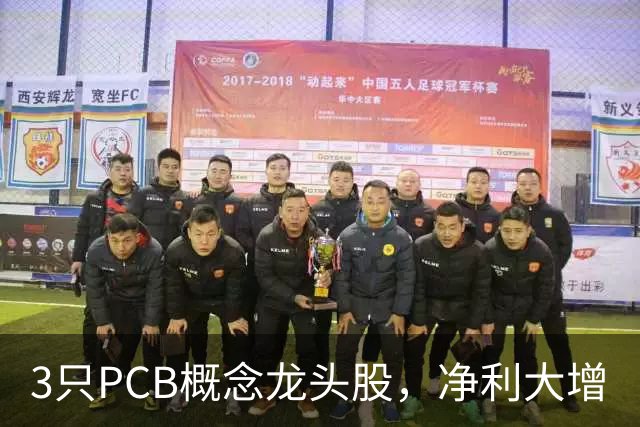 3只PCB概念龙头股，净利大增