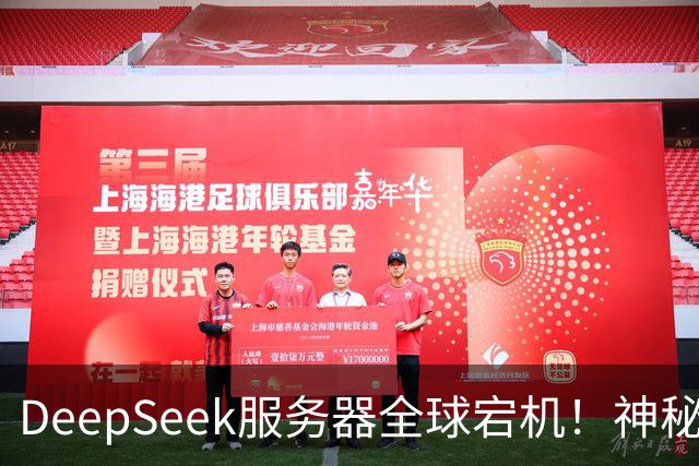DeepSeek服务器全球宕机！神秘Harness账号同时现身