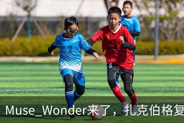 Muse Wonder来了，扎克伯格复仇成功了吗？